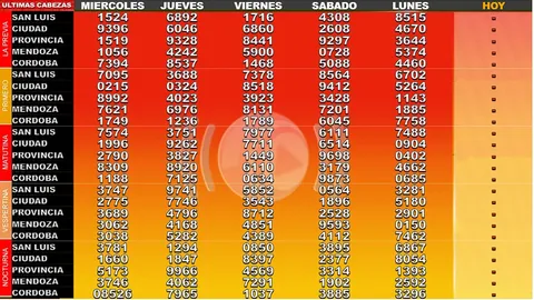 Ejemplo 19 de resultados y funciones de Tableros en Vivo